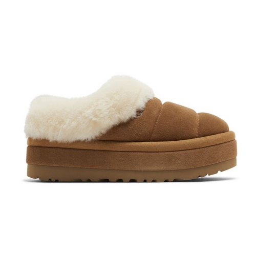 Ugg Tazzlita Slipper 'Chestnut' (Women's)